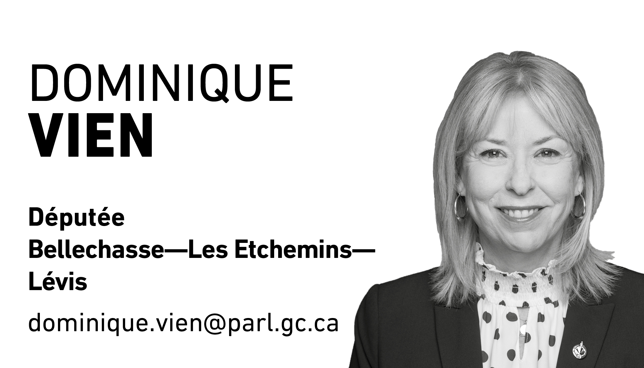 Dominique Vien